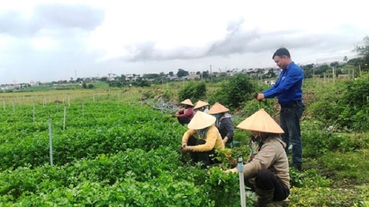 Padang mbang ngui jak jeng meng bruk pambuak gauk pablei kaya nong