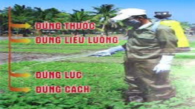 Búa lổng đia xiêuz mảng cành tzuống can 4 tìu chaoz kếu xiêu đia xiêuz mảng cành tzuống nhây bụa, pènh gang hít lổng pả ziêm Sơn La sanhz nhnáng 2019