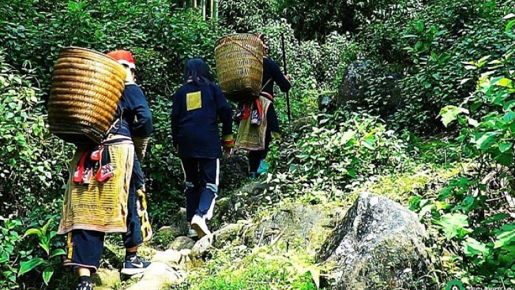 Lầy tzình xiêuz mảng kếu phát hiáng kềm