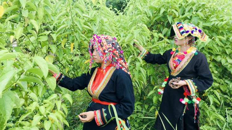 Làn tỏ ìu miền tzấu nhnàng khzun zói ziêm Thượng Giáo