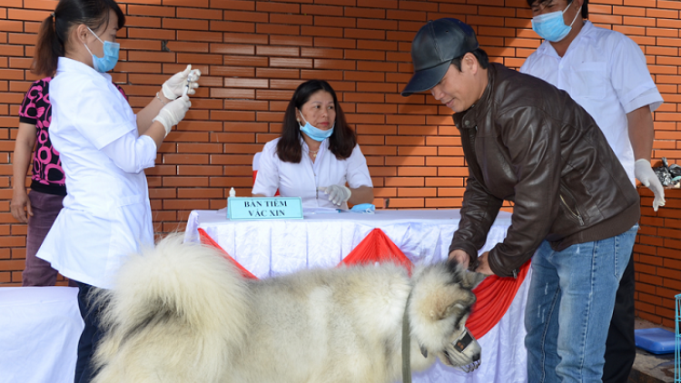 Phênhv đas jos thiêz siv nênhx hnuz 10-4-2019