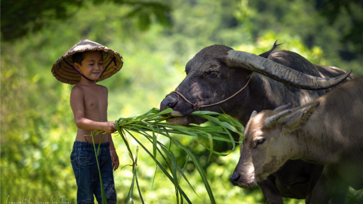 NGÒI CHƯỚNG MÒ VÀI CHANG SLÌ DÊN