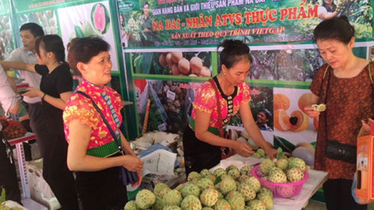 Vùng cao mong muốn liên kết thị trường
