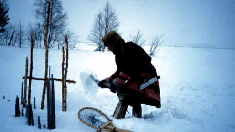 Những người chăn tuần lộc ở phương Bắc lạnh giá