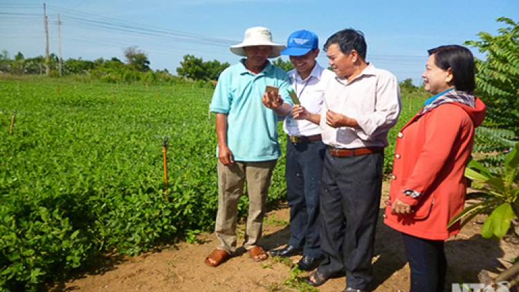 Ninh Thuận ứng dụng thành công mô hình tưới nước tiết kiệm bằng điện thoại