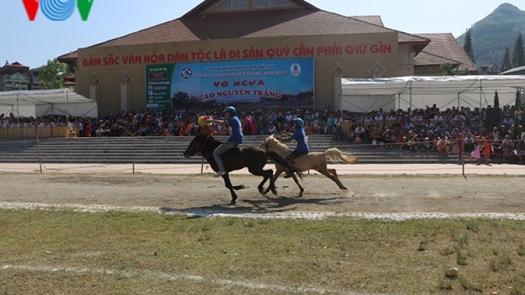Sôi động Giải đua “Vó ngựa cao nguyên trắng” Bắc Hà