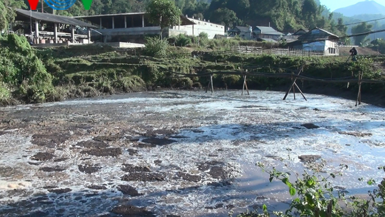 Môi trường Điện Biên “kêu cứu” vì ô nhiễm do chế biến dong riềng