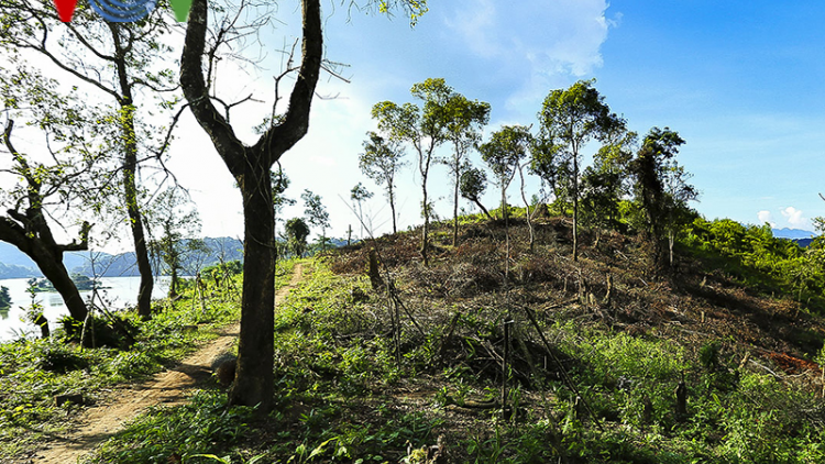 Xử phạt các đối tượng phá rừng đặc dụng Mường Phăng 100 triệu đồng