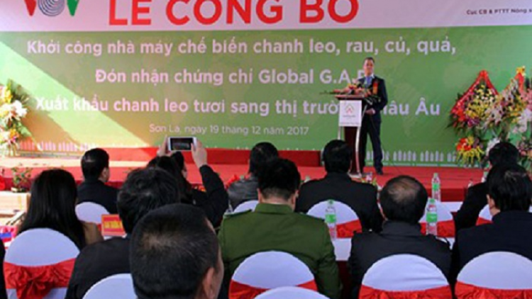 Sơn La khởi công xây dựng nhà máy chế biến chanh leo, rau củ quả xuất khẩu