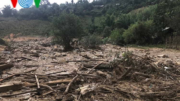 Hơn 1.800 ha rừng Yên Bái bị thiệt hại do mưa lũ