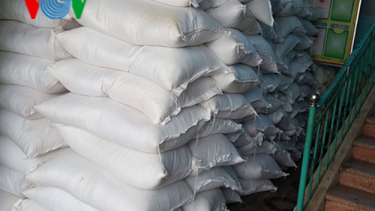 Quảng Bình: Cấp phát 2.500 tấn gạo hỗ trợ người dân vùng bão lũ