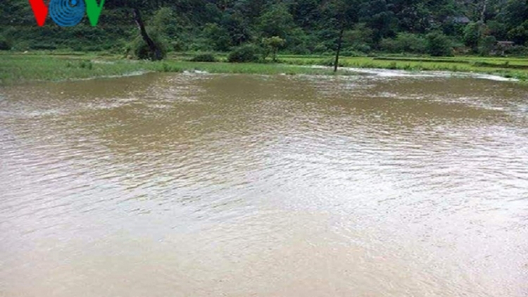 Nước sông Chảy dâng cao gây ngập lụt ở Lục Yên