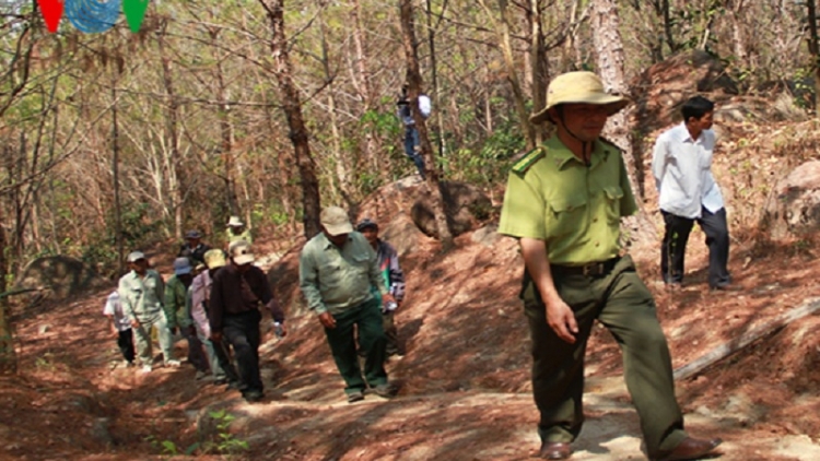 Hội đồng Dân tộc giám sát giao đất, giao rừng tại Gia Lai