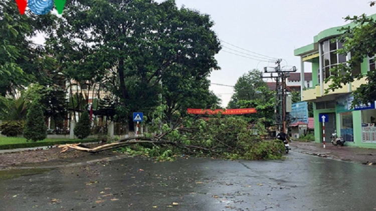 Lào Cai: Dông lốc làm tốc mái hơn 700 nhà dân, thiệt hại trên 7 tỷ đồng
