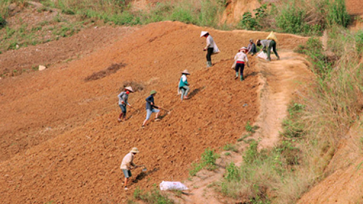 Nguy cơ thiếu đói ở vùng đồng bào dân tộc thiểu số Đakrông
