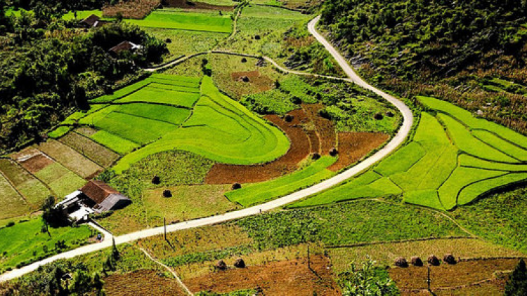 Hà Giang hỗ trợ nông dân sản xuất các sản phẩm nông nghiệp đặc sản