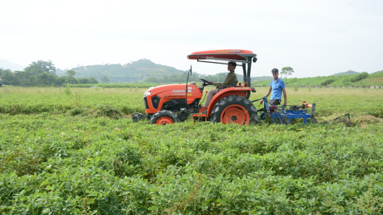 Quỹ hỗ trợ nông dân tiếp sức dân nghèo Tuyên Quang và Quảng Nam