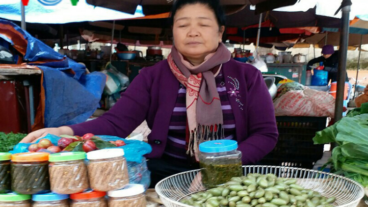 Nhót, món ăn chua khoái khẩu của người Thái Sơn La