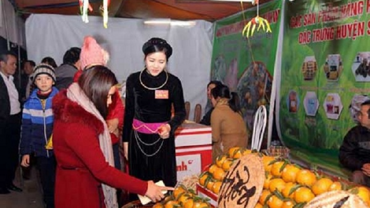 Cô gái người Tày bán cam sành Hàm Yên