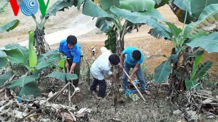 Thanh niên lập nghiệp nơi biên giới