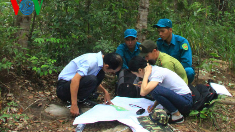 Kon Tum: Chi trả dịch vụ môi trường rừng