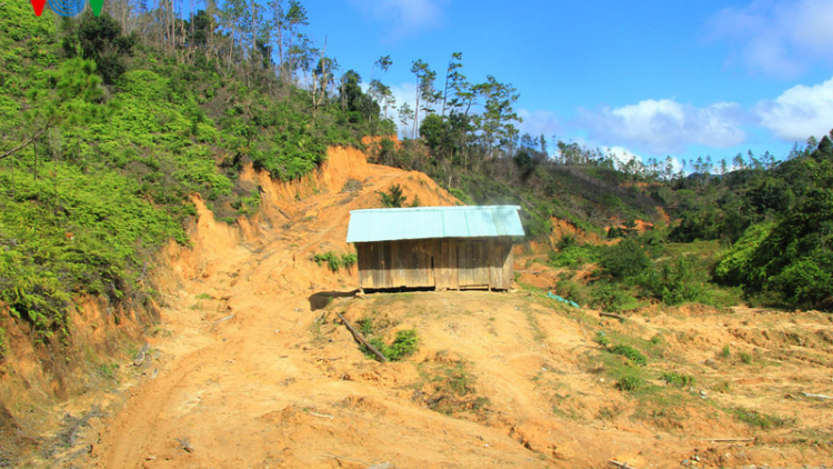Kon Tum: chuyển đổi đất rừng vùng dự án