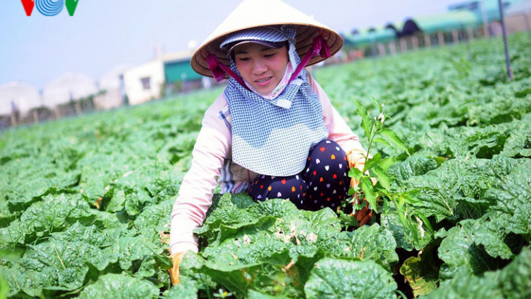 Lâm Đồng: đẩy mạnh liên kết tiêu thụ sản phẩm nông nghiệp