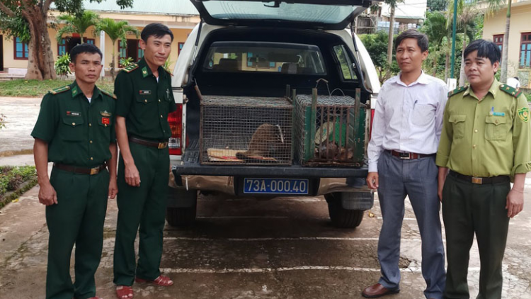 Phát hiện bẫy thú rừng ở Vườn Quốc gia Phong Nha - Kẻ Bàng