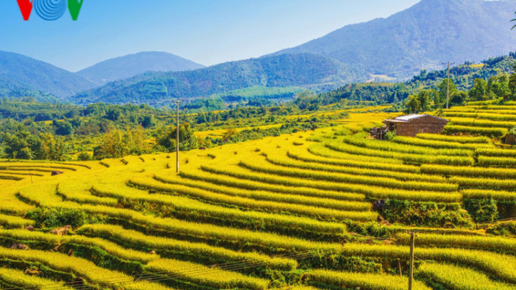 Vùng cao Quảng Ninh thu hút du khách dịp giữa thu