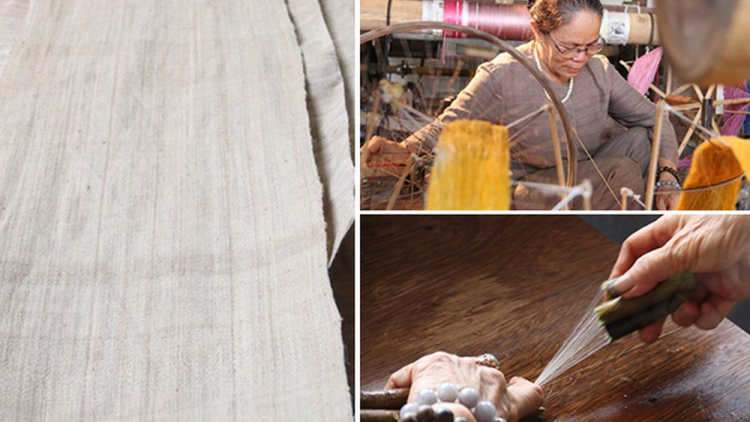 Triển vọng nghề làm lụa từ sợi tơ sen