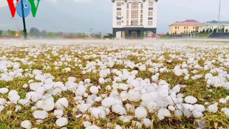 Sơn La: Mưa đá tại Mộc Châu gây nhiều thiệt hại
