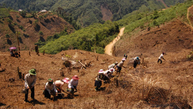 Thiếu đất sản xuất – nguyên nhân đói nghèo