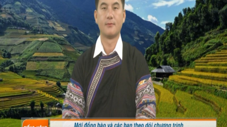 Hảng A Chua, nhà báo người Mông tận tâm với nghề