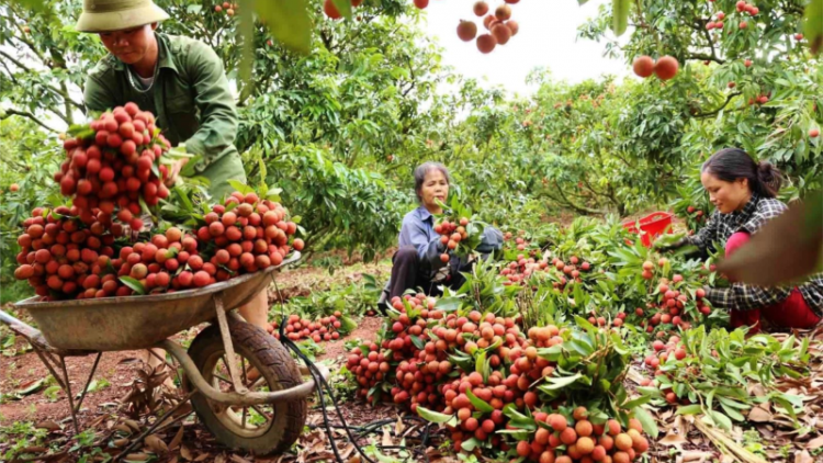 Tín hiệu mừng cho nông sản Việt Nam