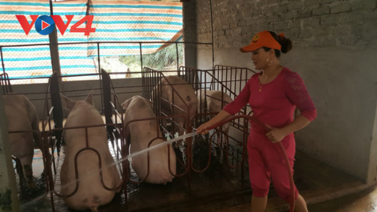 Hiệu quả nguồn vốn quỹ hỗ trợ nông dân ở Tân Sơn