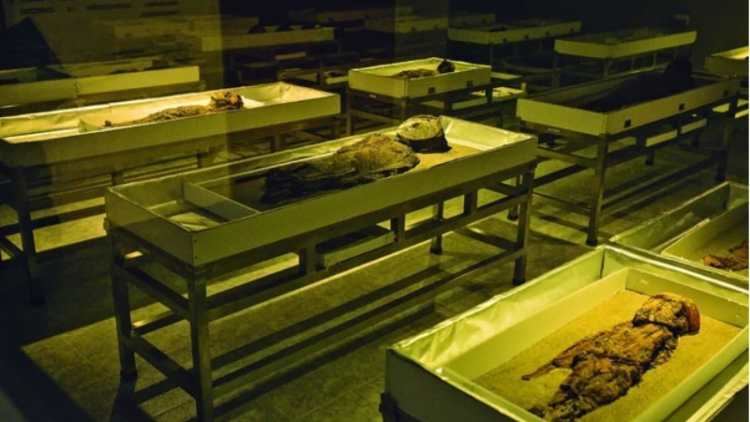 Kỹ thuật ướp xác cổ đại 7000 năm của Chile được đưa vào danh sách Di sản Thế giới