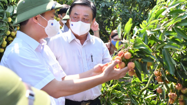 Bộ Nông nghiệp xây dựng cơ sở dữ liệu cung ứng tiêu thụ nông sản phía Bắc