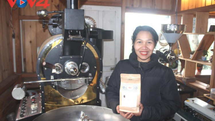 Cô gái K’ho khởi nghiệp từ cà phê Arabica Vàng