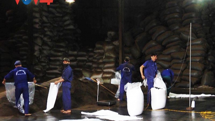 Doanh nghiệp chế biến nông sản ở Yên Bái gặp khó khi xuất khẩu