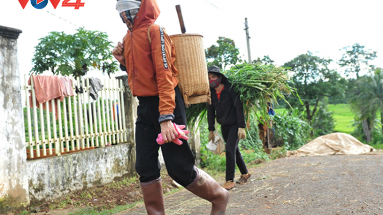 Đắk Lắk: Cuộc sống trở lại bình thường ở ổ dịch lớn đầu tiên của tỉnh