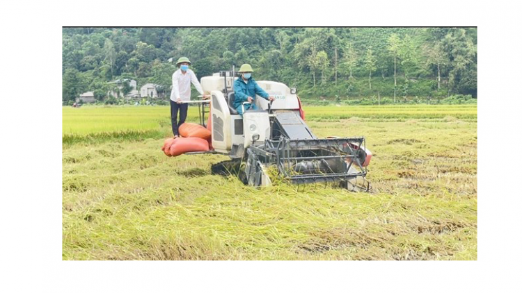 Lai Châu đẩy mạnh cơ giới hóa nông nghiệp