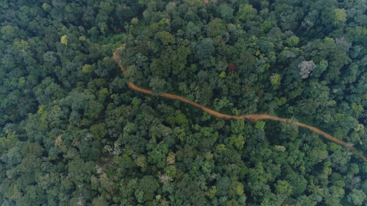 Bảo tồn đa dạng sinh học gắn với phát triển rừng bền vững