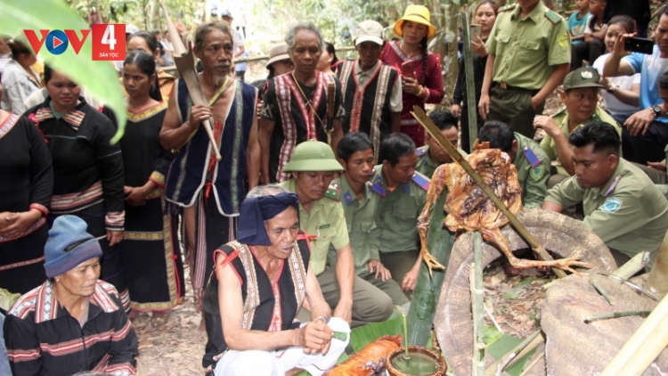 Gia Lai: Độc đáo lễ cúng Thần rừng của người Jrai