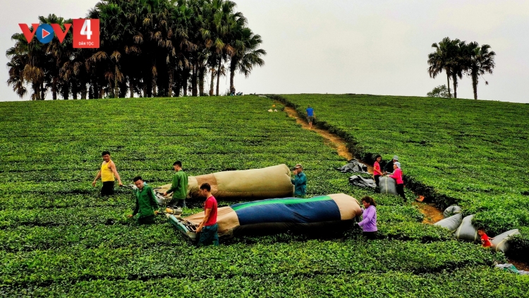  Hiệu quả của nguồn quỹ hỗ trợ nông dân ở Thanh Sơn ( Phú Thọ)