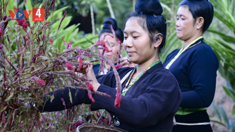 NÈN BJOÓC HON CÁY CÚA CẦN CỐNG