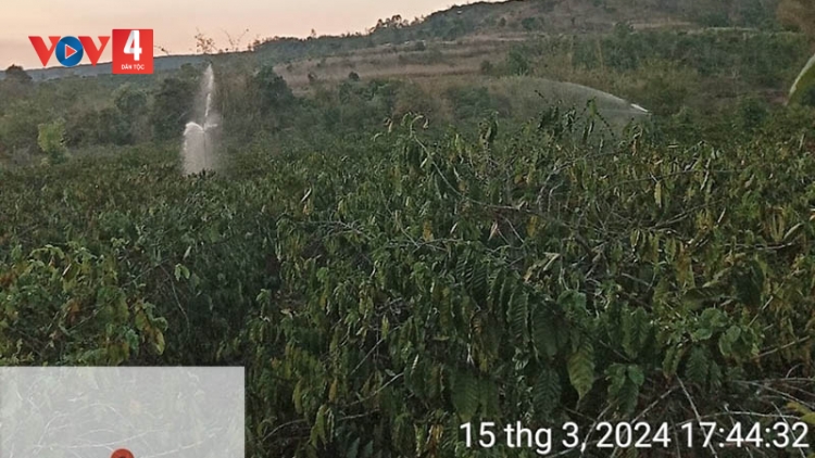 Đưa nước về cứu cây trồng ở vùng “rốn hạn” Đắk Nông