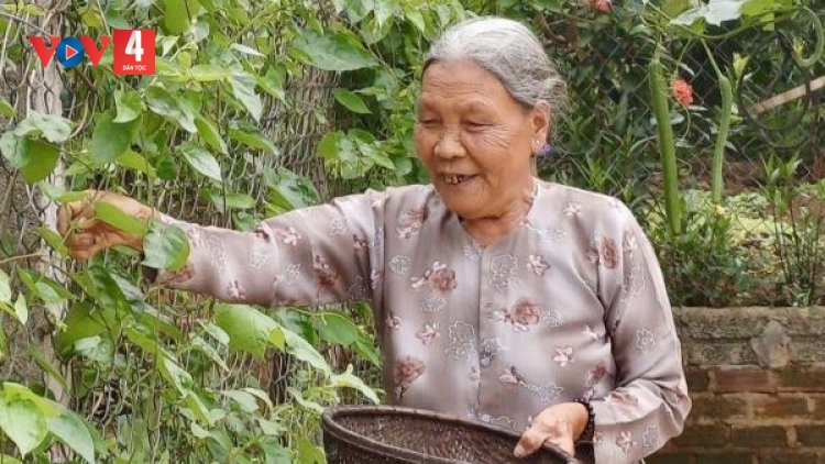 Những lá đơn “ xin thoát nghèo” ở Đắk Lắk