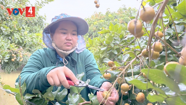 Liên kết để xây dựng vùng nguyên liệu, bài học trong xuất khẩu nông sản