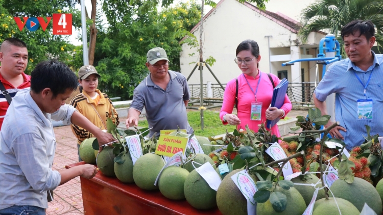 Khánh Hòa tổ chức Lễ hội trái cây, tìm đầu ra cho nông sản