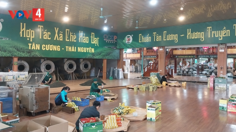THÁI NGUYÊN: LỒNG SLIM KHAI DỰ QUÁ MẠNG PANG HẨƯ TÀNG HẾT KIN TỨ ĐĂM CHAY VẰN HẲM ĐÂY